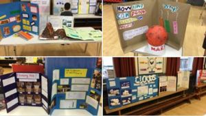 Science Fair Entrees