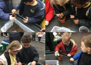 Reception planting beans to see if they can grow their very own Beanstalks
