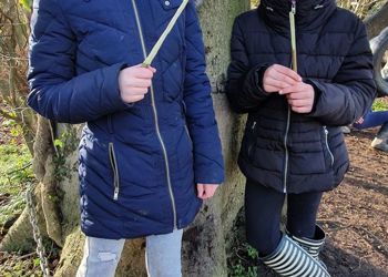 Another truly amazing forest school with year 5 who worked on their whittling skills, making knives, wands and sharp pointy sticks. Such careful consideration of their skills, techniques and desired outcome.