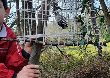 We've spent the day at nursery forest school collaborating and creating pieces art, natural weaving things from the forest school area into a weaving frame.