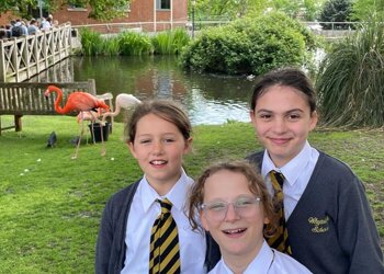 Year 5 had a lovey walk around the Water Garden at  @WhitgiftSchool1  and had the opportunity to ask the Livestock and grounds Assistant questions about all the different birds and fish and how they look after them.