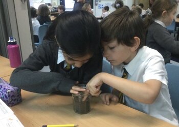 Today, Year 2 got green fingered and planted sunflower and cress seeds as a part of our science learning. We’re going to water and love our plants and see how they grow!