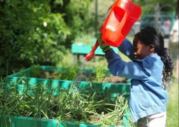 Conversation Whyteleafe School @Whyteleafe_sch It was a lovely morning for a spot of gardening and thanks to the 20 volunteers (parents, children and staff) the wildlife area is looking clear of rubbish, overgrown brambles and is now a very inviting plac