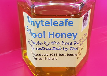 Whyteleafe School extracting honey